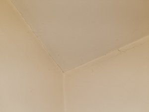 IMG_20240316_014150.jpg