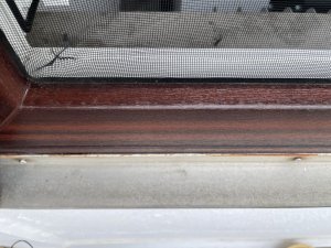 IMG_1090 - Kopie.JPEG
