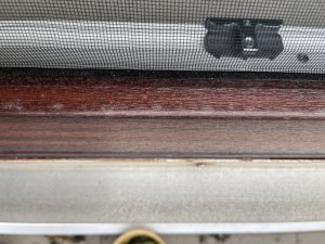 IMG_1091 - Kopie.JPEG