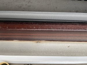 IMG_1092 - Kopie.JPEG