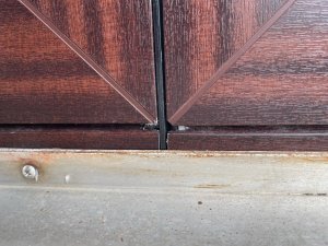 IMG_1111 - Kopie.JPEG