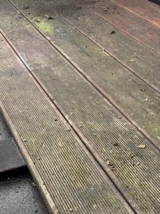 IMG_0428.jpeg
