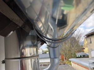 IMG_2207.jpeg