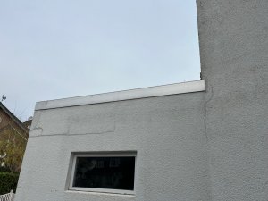 IMG_2966.jpg