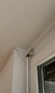 Groß (IMG_0736).jpeg