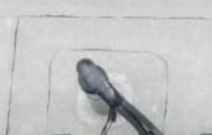 1234.png