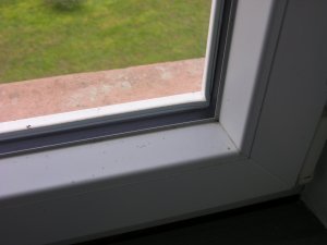 DSCN4471.JPG
