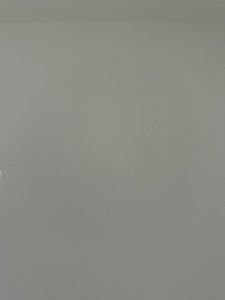 IMG_6641.jpeg