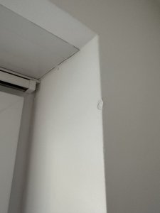 IMG_6640.jpeg