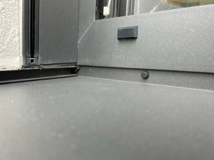 IMG_9334.jpg