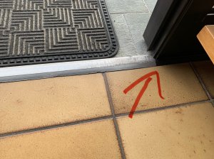 IMG_1003.jpeg
