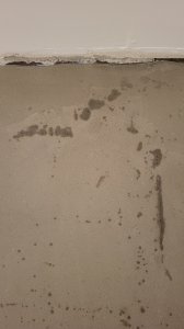 20240401_001840.jpg