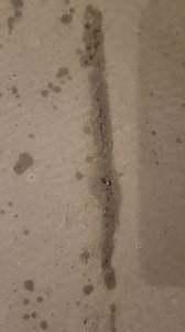 20240401_001846.jpg