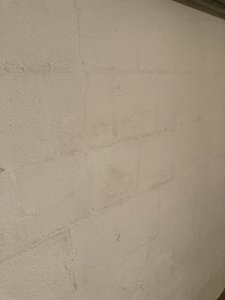 IMG_6304.jpg