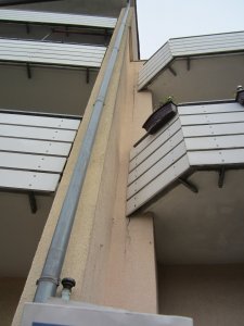 IMG_0175.JPG