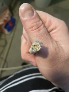 IMG_9630.jpeg