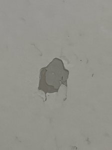 IMG_3124.jpeg