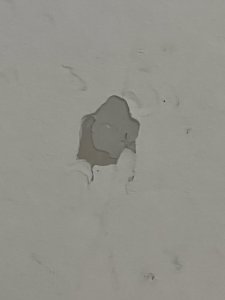 IMG_3123.jpeg