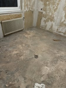 IMG_6664.jpeg