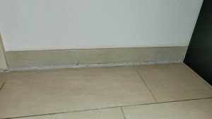20240404_122149.jpg