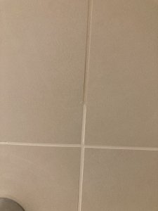 IMG_9535.jpeg