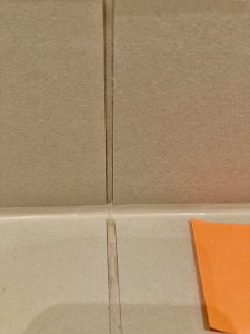 IMG_9248.jpeg