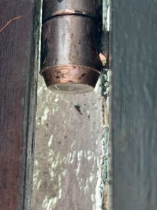 IMG_2332.jpeg
