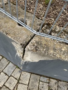 IMG_8226.jpeg