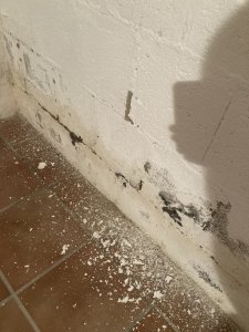 IMG_6358.jpeg