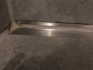 IMG_3346.jpeg
