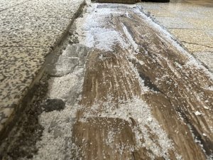 IMG_0725.jpeg