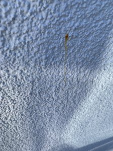 IMG_1624.jpeg