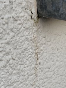 IMG_1723.jpeg