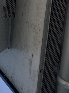 IMG_1728.jpeg