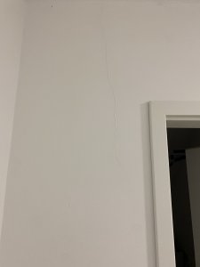 IMG_5654.jpeg