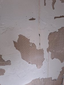 20240414_165853.jpg