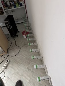 IMG_0683.jpeg