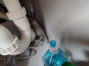 IMG_20240409_173309.jpg