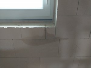 IMG_20240420_101917760.jpg