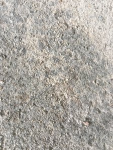E6058AC8-1433-42FA-B636-CF7648F6ABB0.jpeg
