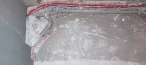 IMG_20240403_104025.jpg
