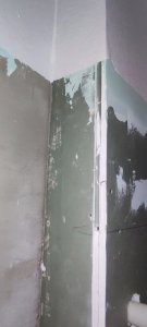 IMG_20240413_183530.jpg