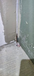 IMG_20240413_185528.jpg