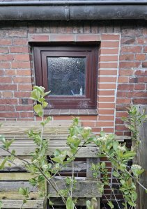 IMG_7645.jpeg