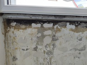 WhatsApp Bild 2024-04-27 um 20.17.38_1687515a.jpg