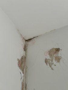 IMG_1259.jpeg
