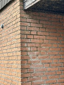 IMG_1293.jpeg