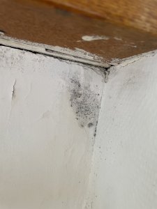 IMG_5348.jpeg