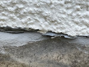 IMG_1066(1).jpg