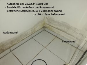 IMG_20240226_105030.jpg